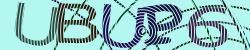 Please input captcha code