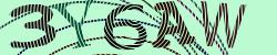 Please input captcha code