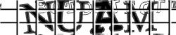 Please input captcha code