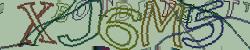 Please input captcha code