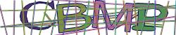 Please input captcha code