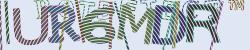 Please input captcha code