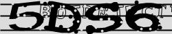 Please input captcha code