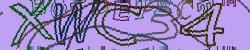 Please input captcha code