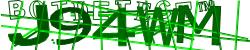 Please input captcha code