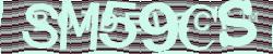 Please input captcha code