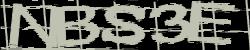 Please input captcha code