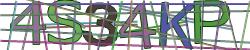 Please input captcha code