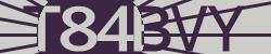Please input captcha code