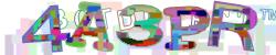 Please input captcha code