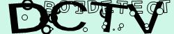 Please input captcha code