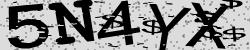 Please input captcha code