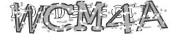 Please input captcha code