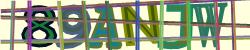 Please input captcha code