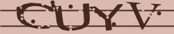 Please input captcha code