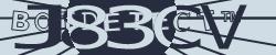Please input captcha code