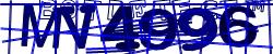 Please input captcha code