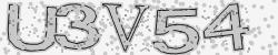 Please input captcha code