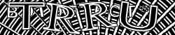 Please input captcha code