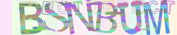 Please input captcha code