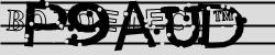 Please input captcha code