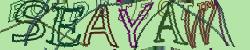 Please input captcha code