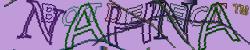 Please input captcha code