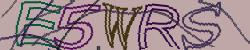 Please input captcha code