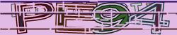 Please input captcha code