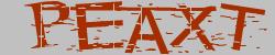 Please input captcha code