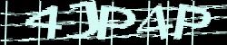 Please input captcha code
