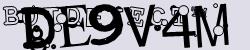 Please input captcha code
