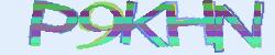 Please input captcha code