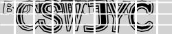 Please input captcha code