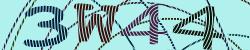 Please input captcha code