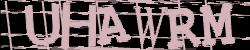 Please input captcha code