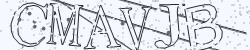 Please input captcha code