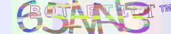 Please input captcha code