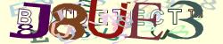 Please input captcha code