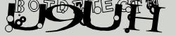 Please input captcha code