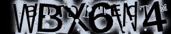 Please input captcha code