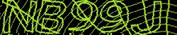 Please input captcha code