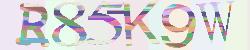 Please input captcha code