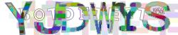 Please input captcha code