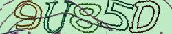 Please input captcha code