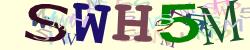 Please input captcha code