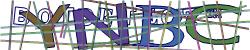 Please input captcha code