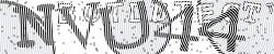 Please input captcha code