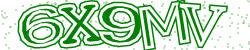 Please input captcha code