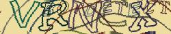Please input captcha code